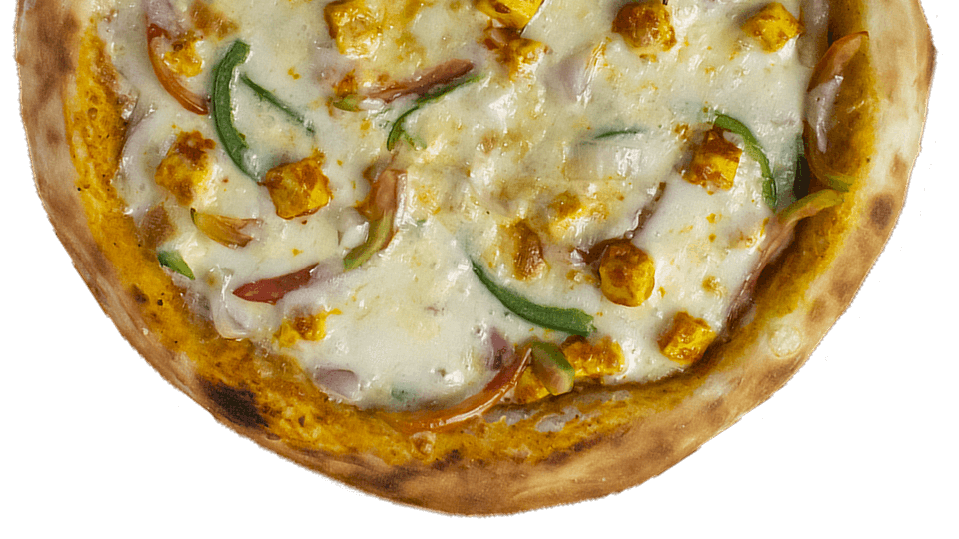 Fusion delight paneer